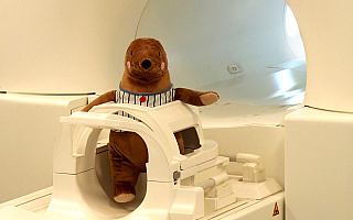 Szpital dziecięcy w Olsztynie ma własny rezonans